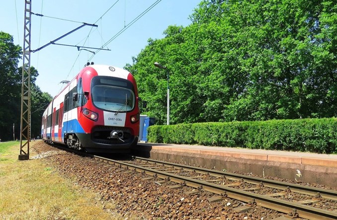 Drugi tor do Grodziska. WKD zleca wycinkę drzew