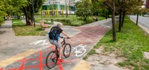 Warszawa. ZDM testuje rozwiązania dla skrzyżowań rowerowo-pieszych