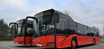 Ostrów Wielkopolski. Solaris dostarczy sześć elektrobusów z defibrylatorami