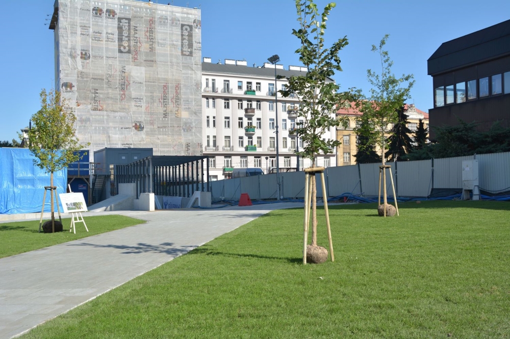 Przykłady drzew, które będą sadzone w rejonie stacji