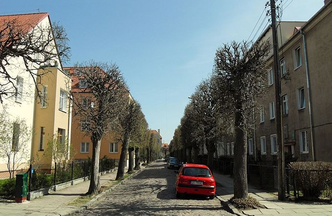 Gdańsk opracował Standard Ulicy Miejskiej