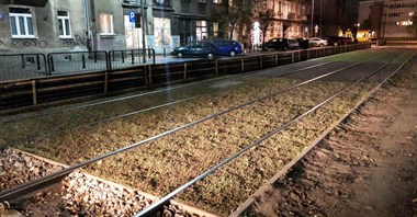Tramwaje Warszawskie przetestują zielone torowisko na tłuczniu