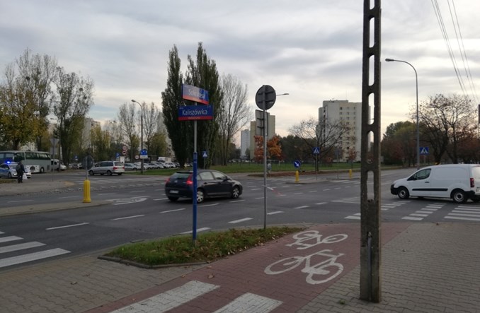 Posłanki Lewicy: Pierwszeństwo pieszych, mandaty i fotoradary