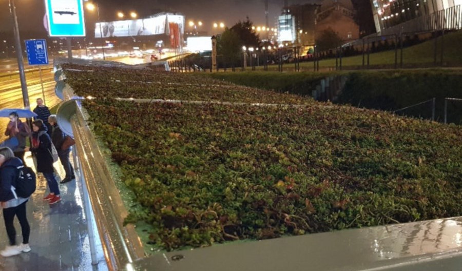 Kraków z zielonym przystankiem na rondzie Grunwaldzkim Kraków z zielonym przystankiem na rondzie Grunwaldzkim