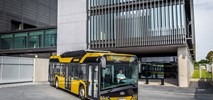 Tallinn. Solaris wygrał przetarg na 100 autobusów CNG