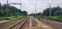 Stacja Kraków Swoszowice węzłem. Dwie oferty