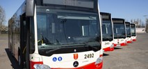 GAiT szukają podwykonawcy dla linii 167 i 168