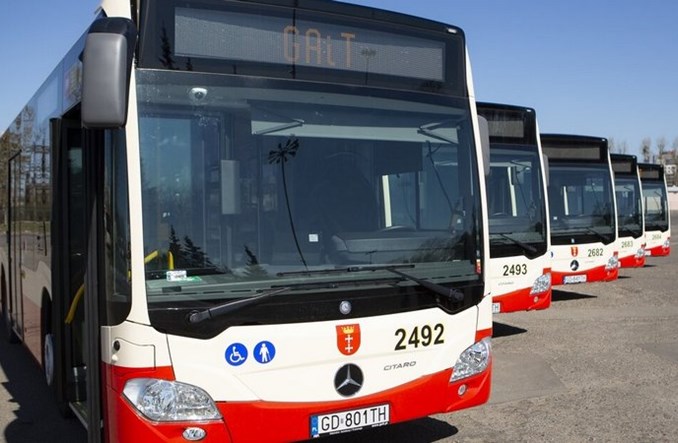 30 nowych Mercedesów Citaro na ulicach Gdańska