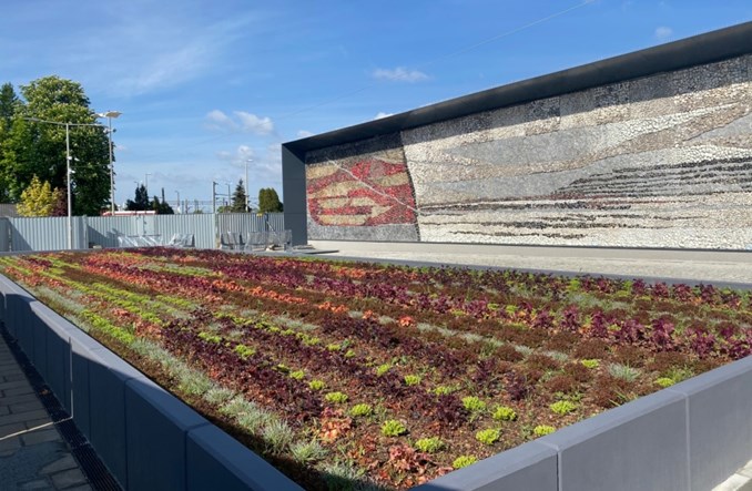 Żywa mozaika przy dworcu w Oświęcimiu