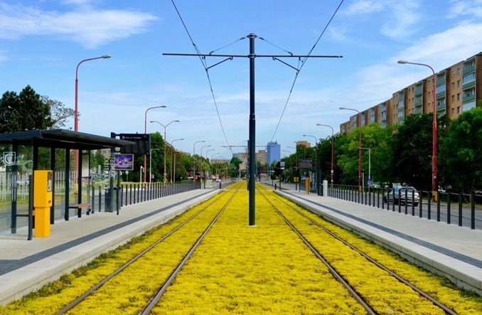 Bratysławskie tory tramwajowe mienią się żółcią