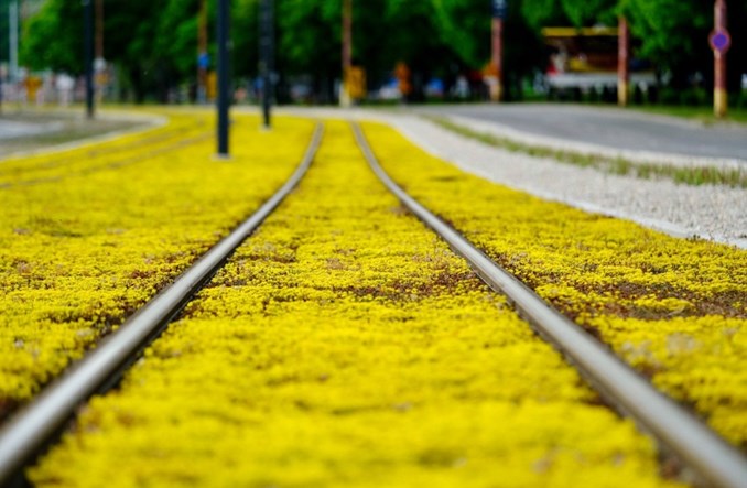 Bratysława chce doprowadzić tramwaj pod lotnisko