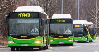 Zgierz przywraca rozkłady jazdy z dnia roboczego, zmiany w Pabianicach