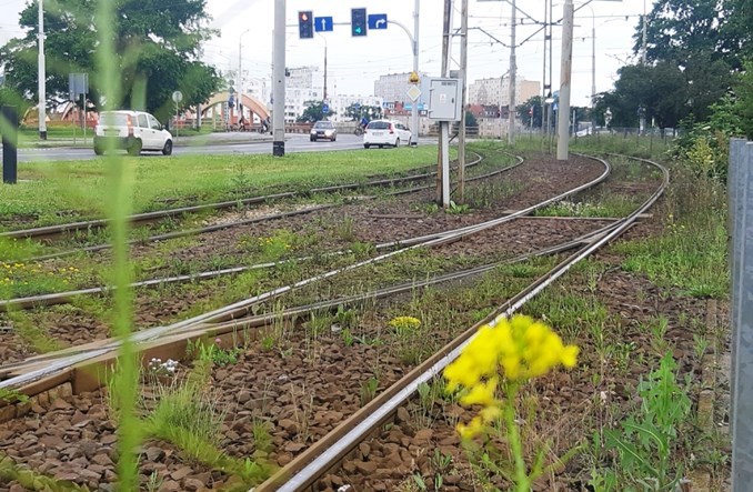 Wrocław: Torowisko na Żmigrodzkiej do remontu. Jest umowa
