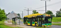 Tyskie Linie Trolejbusowe z ofertą na 6 elektrobusów ładowanych z sieci trakcyjnej