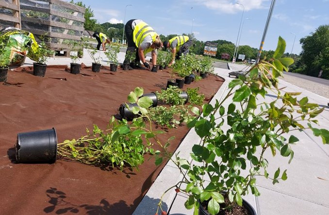 Bydgoszcz: Buspas w Myślęcinku na finiszu