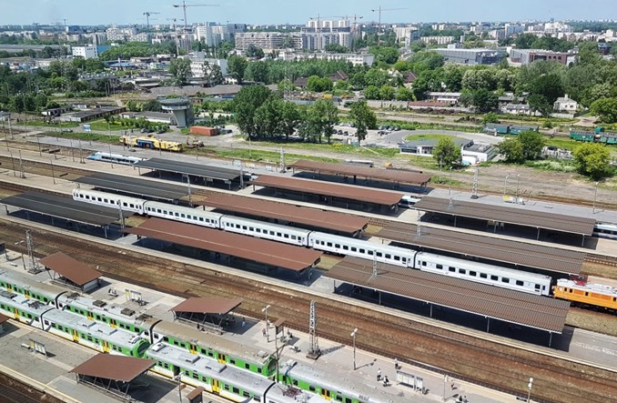 Warszawa Zachodnia. PKP PLK chcą wyciąć 3200 drzew. W zamian posadzą kilkadziesiąt