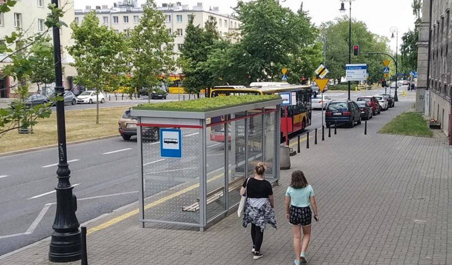 Warszawa: Zielona wiata na Żoliborzu Warszawa: Zielona wiata na Żoliborzu
