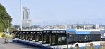 Nowe midibusy na kręte trasy w Gdyni