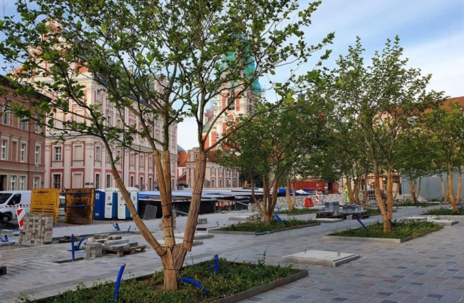 Poznań. Przebudowa pl. Kolegiackiego potrwa dłużej