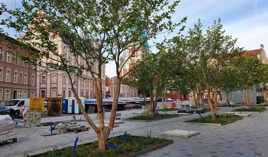 Poznań. Przebudowa pl. Kolegiackiego potrwa dłużej Poznań. Przebudowa pl. Kolegiackiego potrwa dłużej