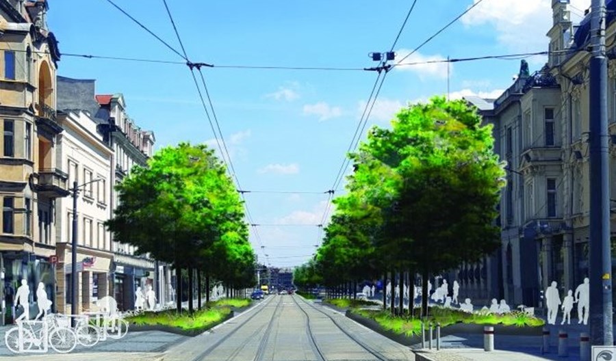 Katowice: Zazielenienie ulicy Warszawskiej – drzewa zamiast samochodów Katowice: Zazielenienie ulicy Warszawskiej – drzewa zamiast samochodów
