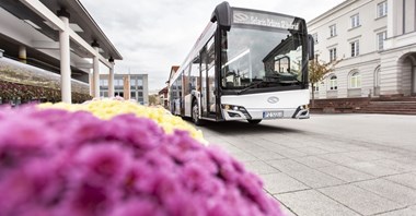 Ostrowiec Świętokrzyski zdecydował się na hybrydy