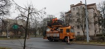 Toruń: Ruszyła modernizacja torowiska tramwajowego w ul. Kraszewskiego