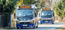Kraków: Karsany – najmniejsze autobusy we flocie MPK – gotowe do jazdy [zdjęcia]