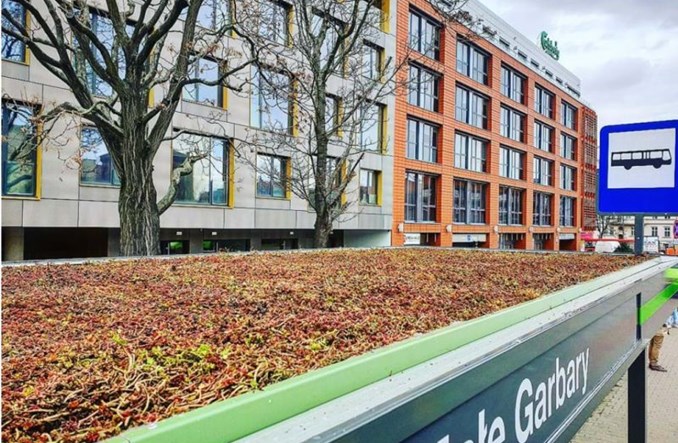 Poznań: Wiaty przystankowe przyjazne ptakom