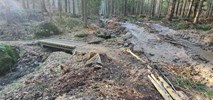 Jelenia Góra: Rowerowe single tracki zrujnowane przez leśników w czasie wycinek