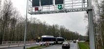 Kontrapas autobusowy w Gdyni zdał egzamin