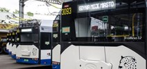 Gdynia: Nowe trolejbusy dzięki KPO? Za wcześnie na decyzje