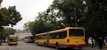 Łódź na drodze do wycofania ostatnich autobusów bez niskiej podłogi 