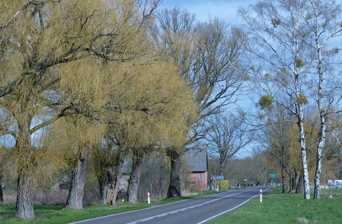 Zachodniopomorskie rozwija trasy rowerowe. Przetarg na nowe odcinki Blue Velo