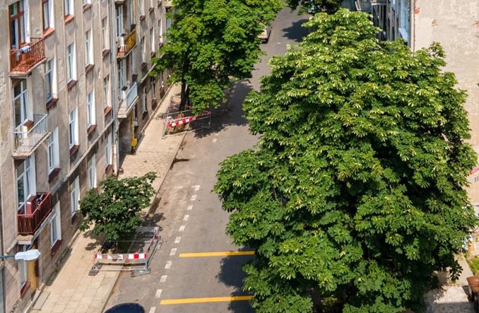 Łódź: Kolejna ulica-ogród na Starym Polesiu