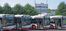 Gapowicze z Jastrzębia-Zdroju trafią do rejestru. Rekordzista z 20 tys. zł kar