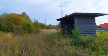 Młodzi chcą jeździć zbiorkomem, jeśli jest on na dobrym poziomie