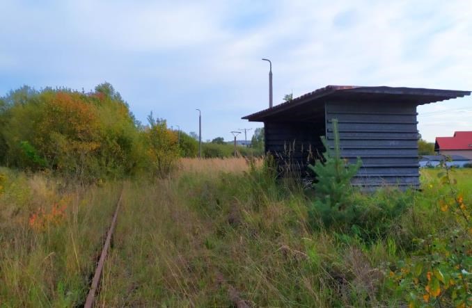 Młodzi chcą jeździć zbiorkomem, jeśli jest on na dobrym poziomie