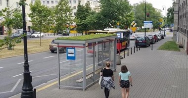 Warszawa kontynuuje zazielenianie przystanków 