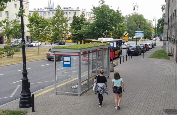 Warszawa kontynuuje zazielenianie przystanków 