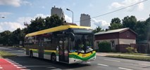 Zielona Góra: Dwóch chętnych na dostawę kolejnych elektrobusów solo