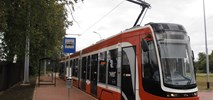 Częstochowa: Na liniach tramwajowych przewaga niskopodłogowców 