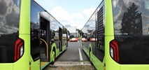 MZK Gorzów szuka 4 używanych autobusów