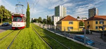 Tramwaje Warszawskie. Liście bluszczu na słupach trakcyjnych