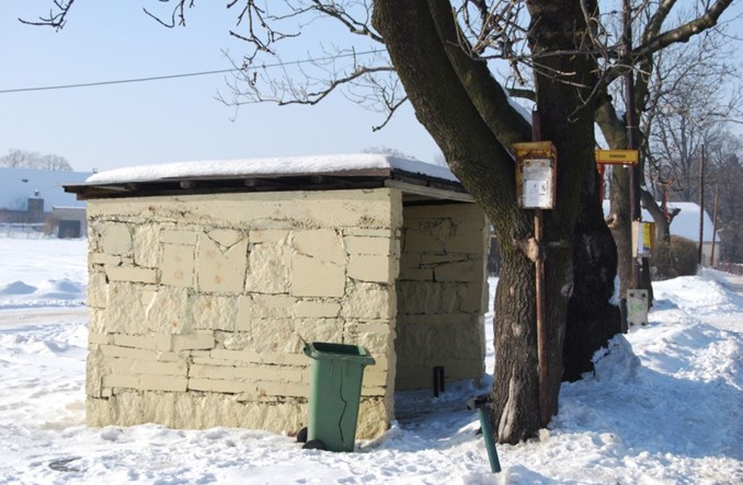 Rzecznik Praw Obywatelskich interweniuje w sprawie wykluczenia transportowego