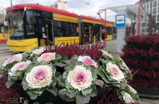 Wracają limity w komunikacji publicznej. Testy dla podróżnych przylatujących spoza Schengen