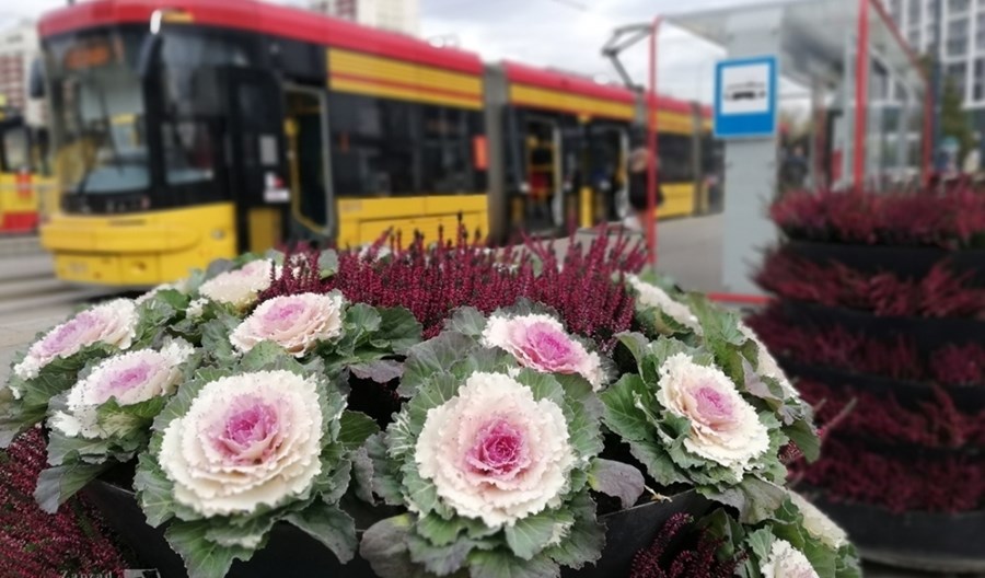 Warszawskie pętle z jesiennymi kompozycjami kwiatowymi Warszawskie pętle z jesiennymi kompozycjami kwiatowymi