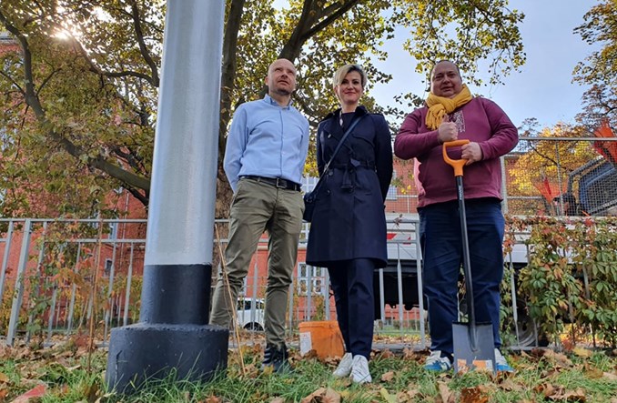 Wrocław: Słupy trakcyjne porosną bluszczem