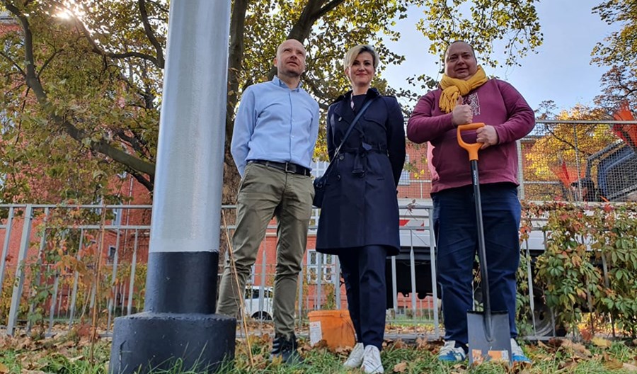 Wrocław: Słupy trakcyjne porosną bluszczem Wrocław: Słupy trakcyjne porosną bluszczem