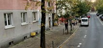 Poznań. Więcej zieleni na Jeżycach i Łazarzu